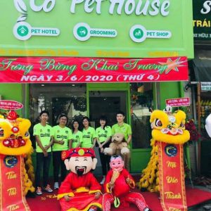 dịch vụ múa lân