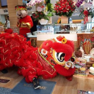 dịch vụ múa lân khai trương