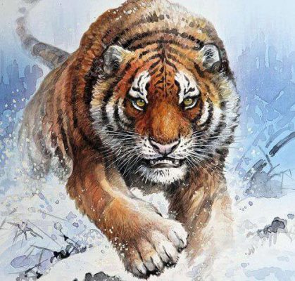 Năm 2022 là năm con gì